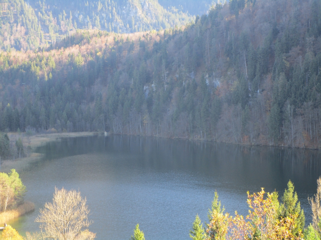 Neuschwanstein