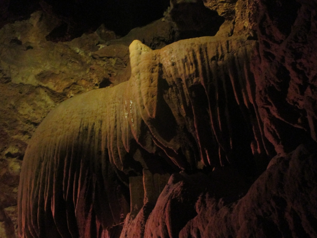 Grotte de Saint-Césaire