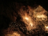 Grotte de Saint-Césaire