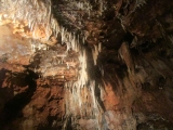 Grotte de Saint-Césaire