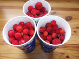 Arbouses (fraises d'Automne)