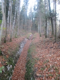 Neuschwanstein