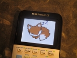 Ti-83 Premium CE + Sleeping Fox