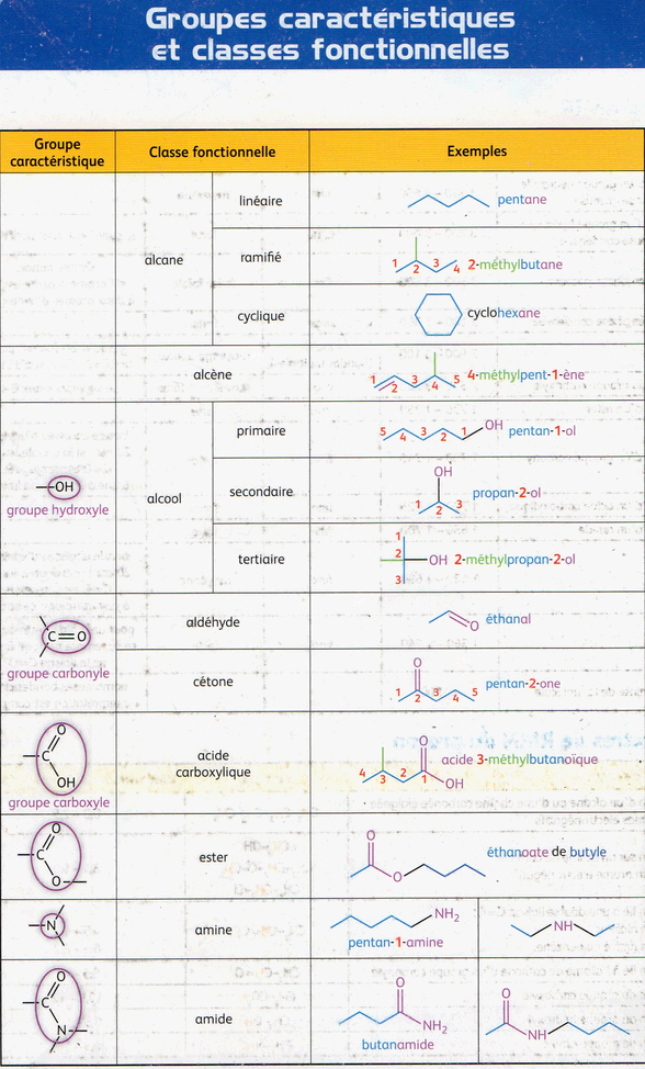 download Immunochemical Techniques Part L: Chemotaxis